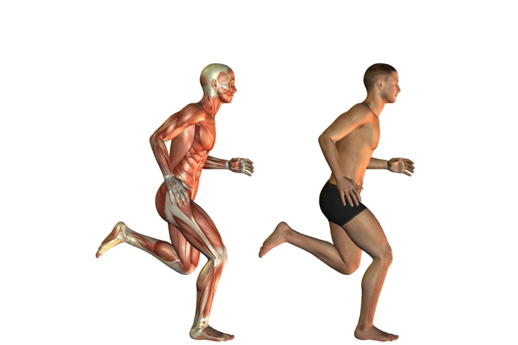 Treino com Planejamento Científico: O Guia para Hipertrofia e Resultados Reais