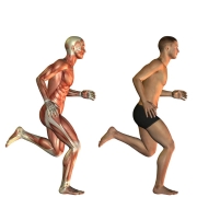 treino-com-planejamento-cientifico-guia-hipertrofia-resultados-reais Treino com Planejamento Científico: O Guia para Hipertrofia e Resultados Reais