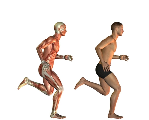 Treino com Planejamento Científico: O Guia para Hipertrofia e Resultados Reais